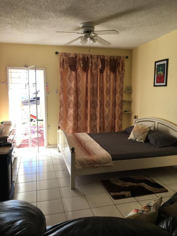 #D1 Castle Studio Wifi King Bed Ocho Rios Jamaica Buitenkant foto