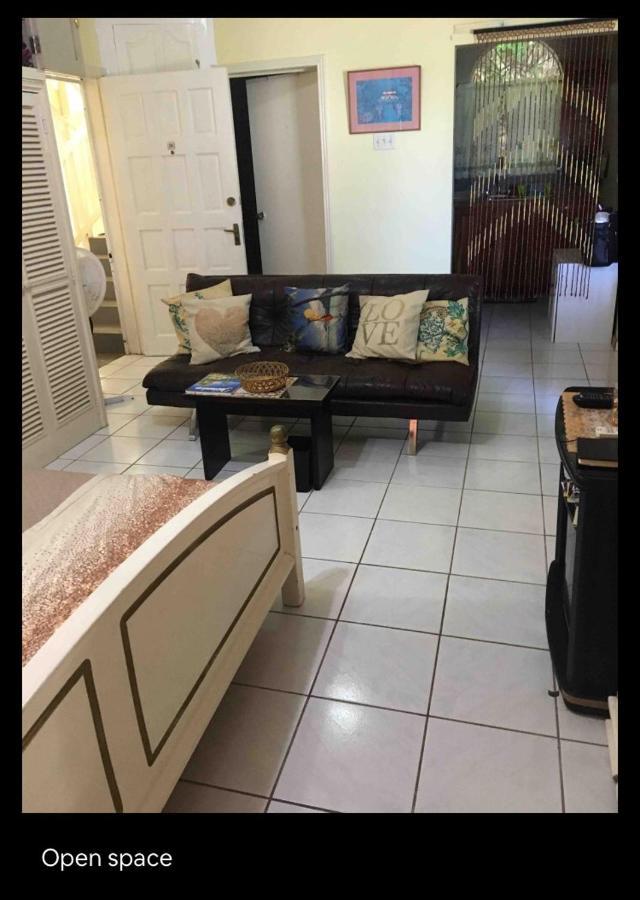 #D1 Castle Studio Wifi King Bed Ocho Rios Jamaica Buitenkant foto